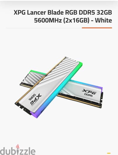 DDR 5
