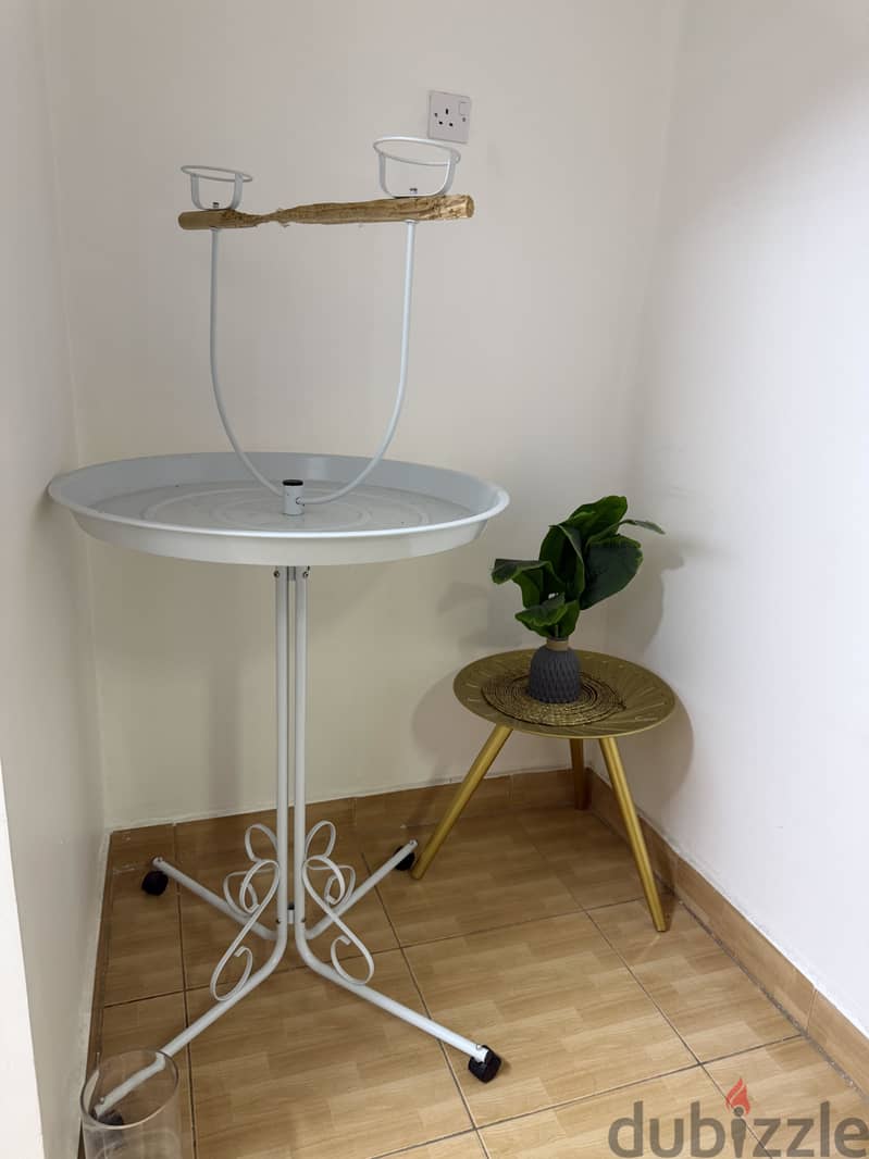 Everything for sale 10