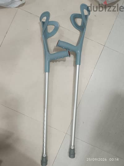 Walking stick