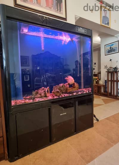 Aquarium