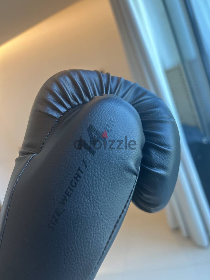 KICKBOXING GEAR 1