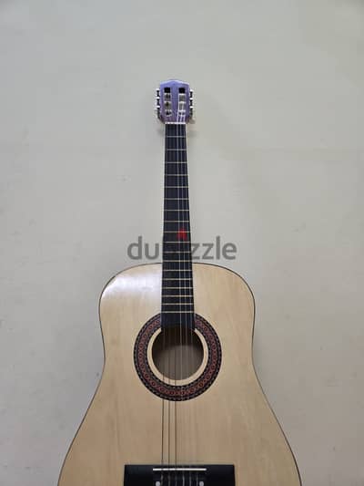 Acoustic Guitar