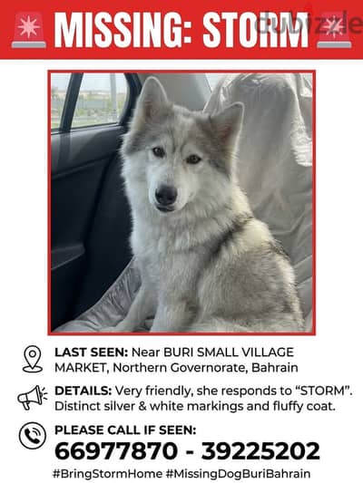 STORM is missing