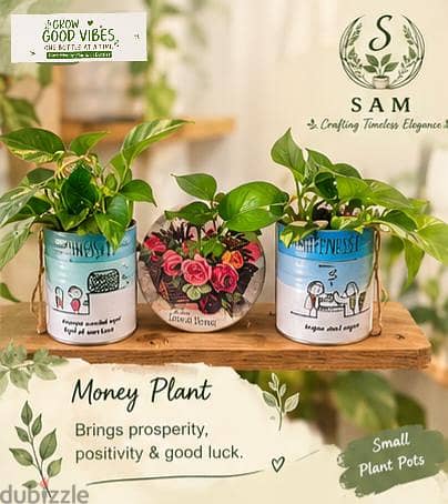 bottle n pots plants 5
