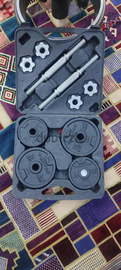 Decathlon 20 kg Cast Iron Dumbbell Set with Case
