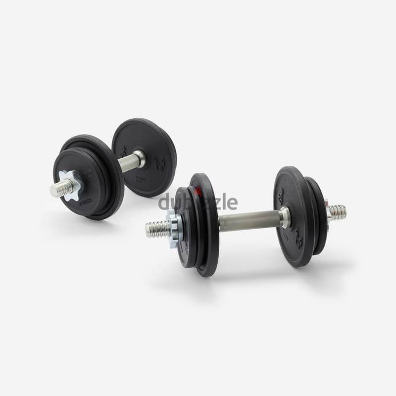 Decathlon 20 kg Cast Iron Dumbbell Set with Case 5
