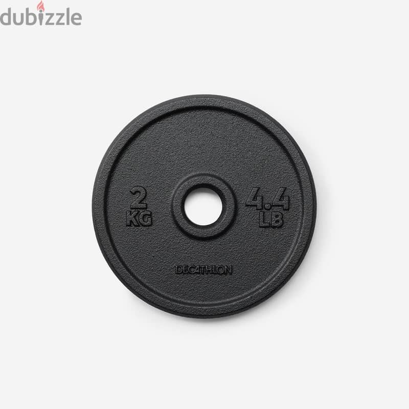 Decathlon 20 kg Cast Iron Dumbbell Set with Case 6