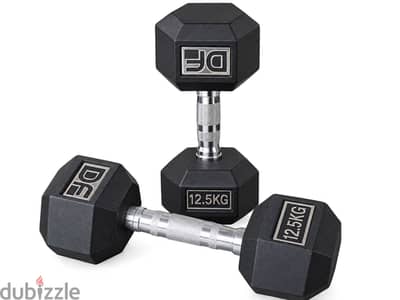Gym weights 12.5kg one peice