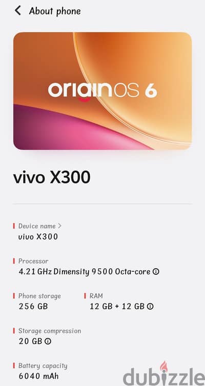 vivo x300