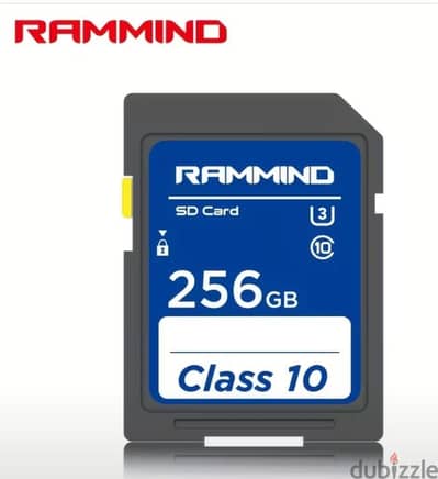 SD card 256 GB