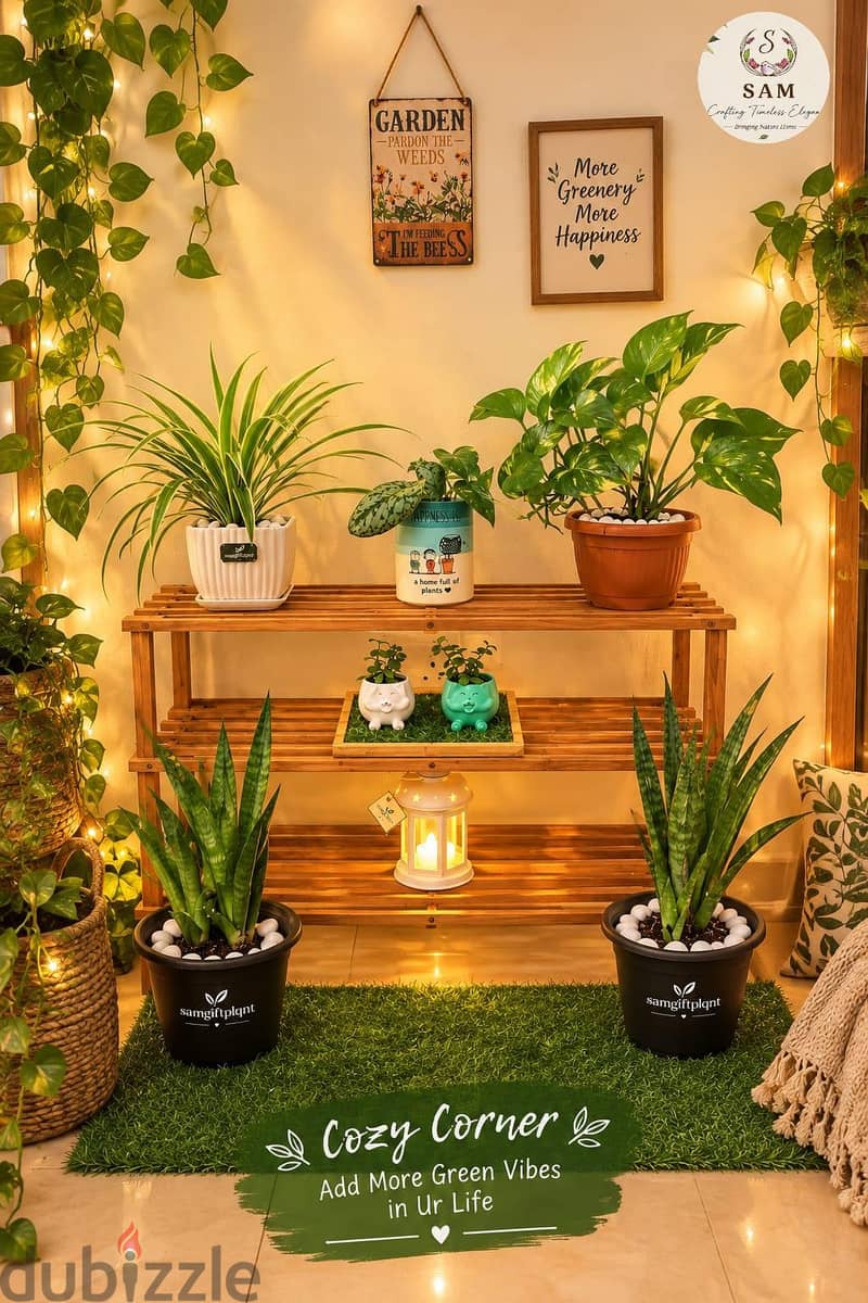 cozzy comfy corners for plant n book lovers 1