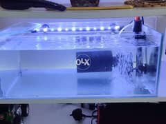 3 Fish; Tank; Heater; Water pumb; LED Light. 0