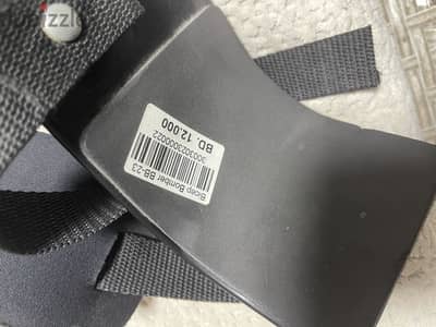 Bicep Curl support