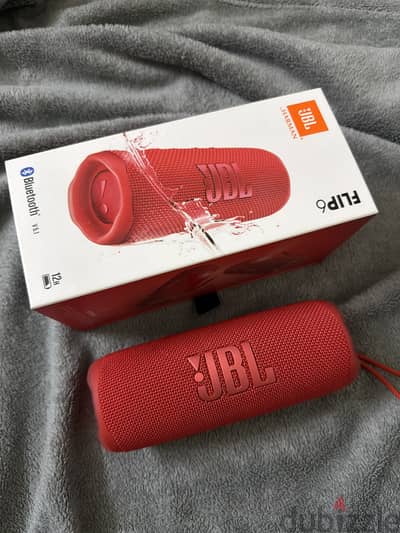 JBL Flip 6