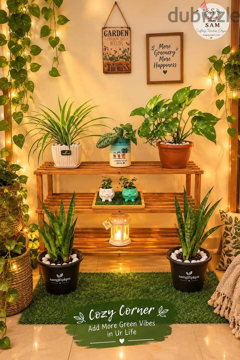 cozzy comfy corner setup with all stuff shown inckuding lights n vibes 4