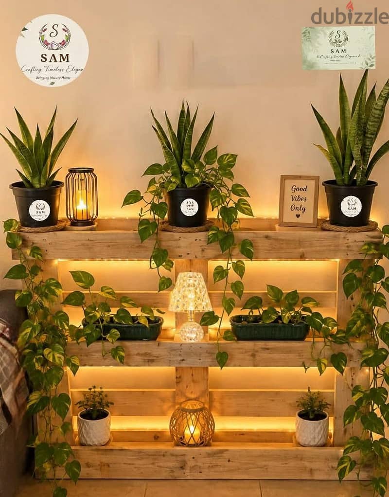 cozzy comfy corner setup with all stuff shown inckuding lights n vibes 5