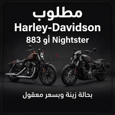 مطلوب هارلي ديفدسون سبورتستر* 883• Nightster 1200