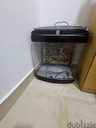 Aquarium and accessories for sale