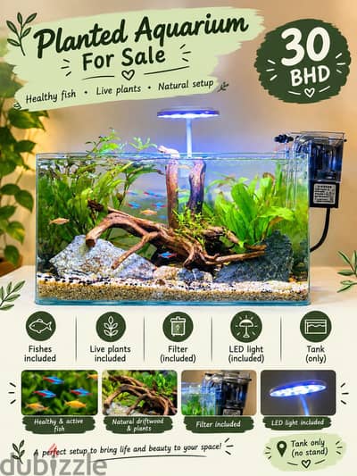 Planted Aquarium for Sale – 30 BHD