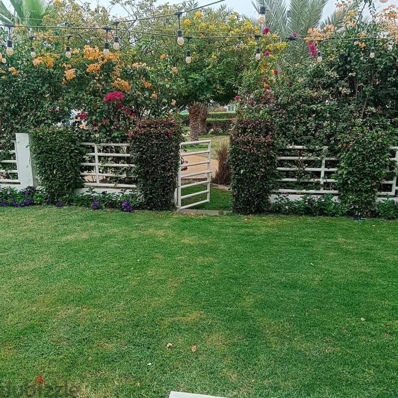 garden mantince 4