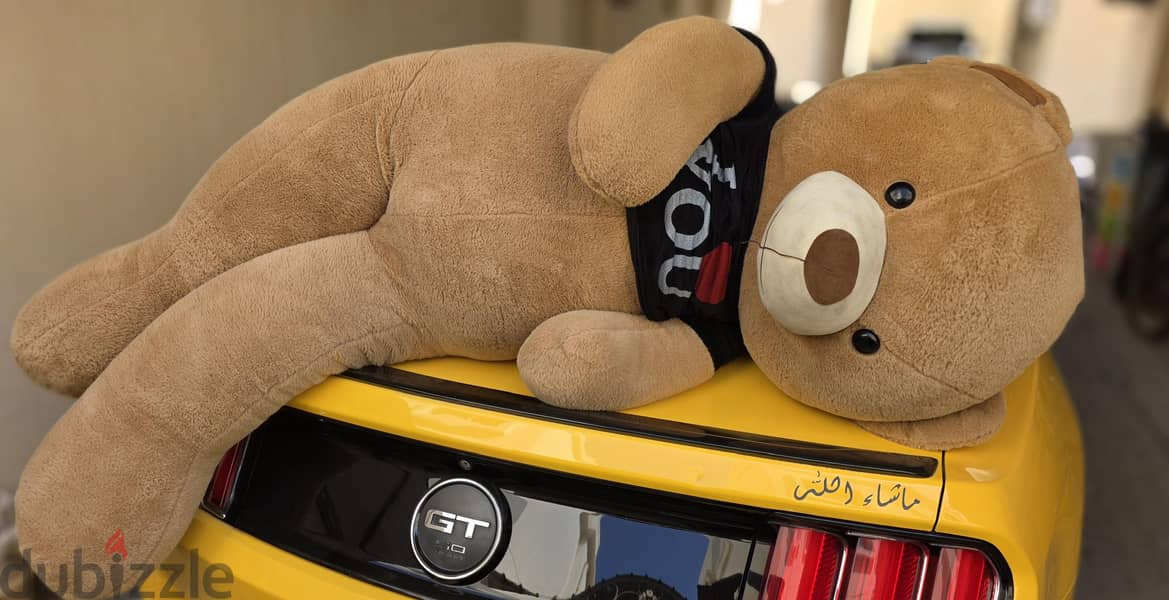 GIANT TEDDY FOR SALE! 2