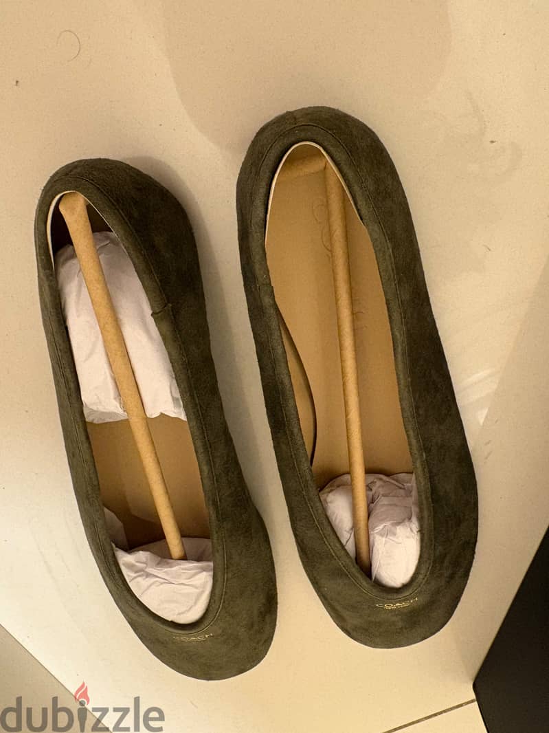 COACH Houston Ballet Flats in Green Suede. 2