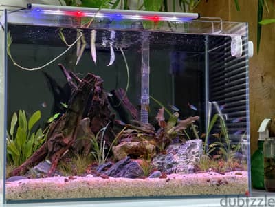 complete set planted tank