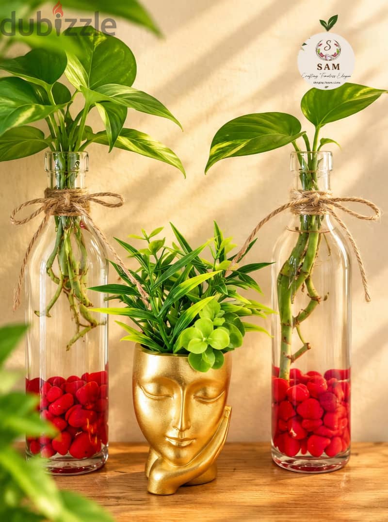 cofmy corner setup with stand n accessories n beautiful plants 12