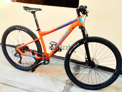 Sunpeed 29" 2024