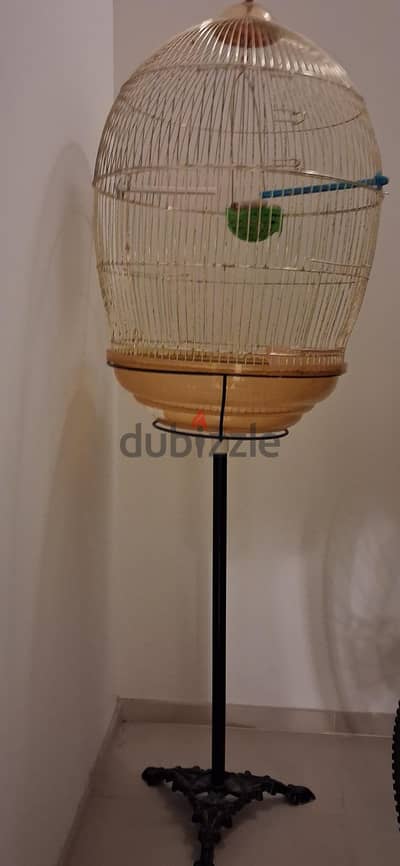 birds cage