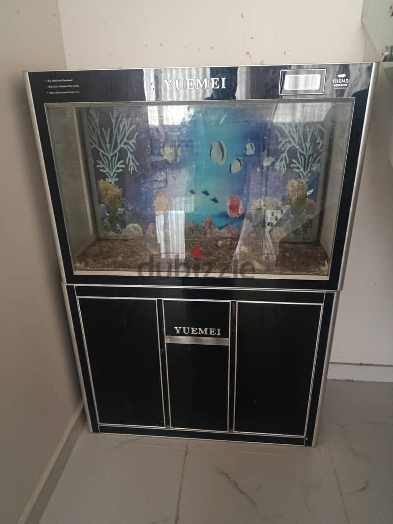 YUEMEI electric automatic big fish tank 2