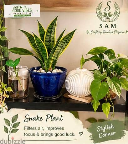 cozzy comfy plant cirner with accessosries 5