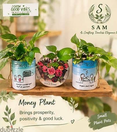 cozzy comfy plant cirner with accessosries 6