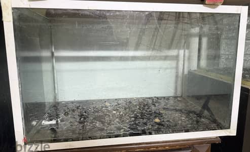 Aquarium for sale