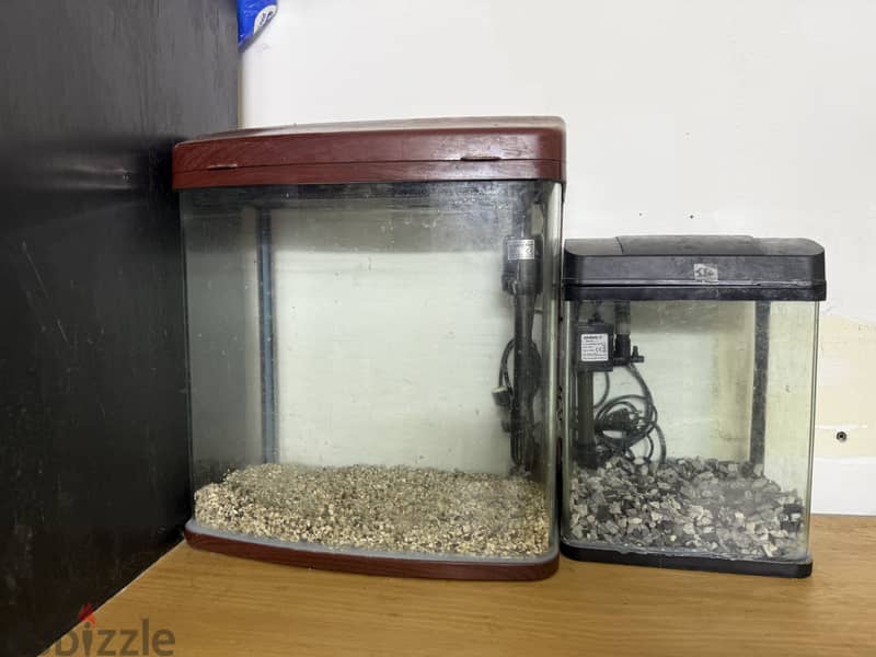 Aquarium for sale 1