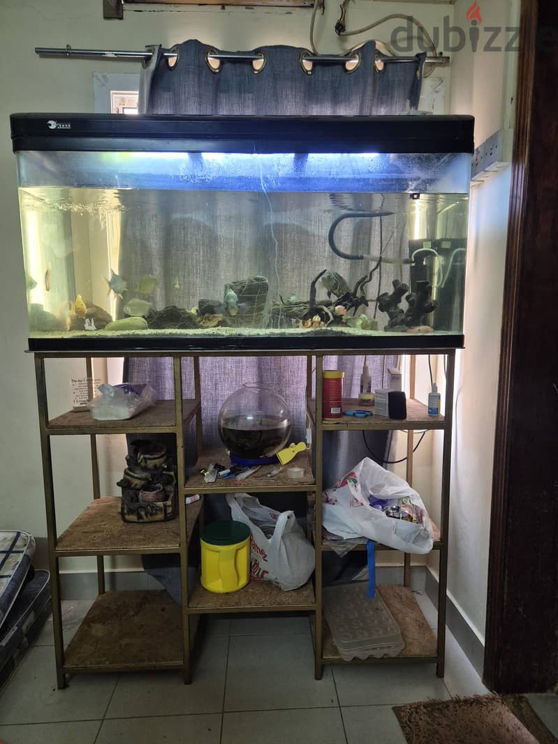 fishtank aquarium 1