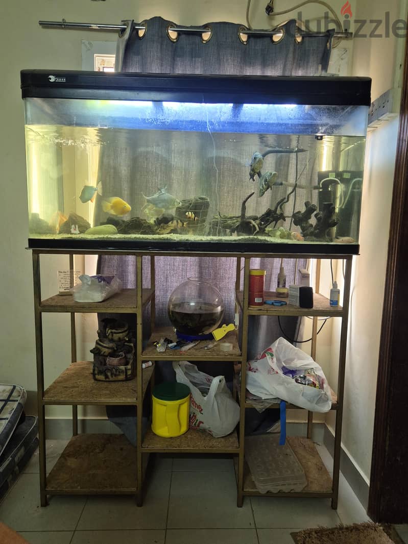 fishtank aquarium 2