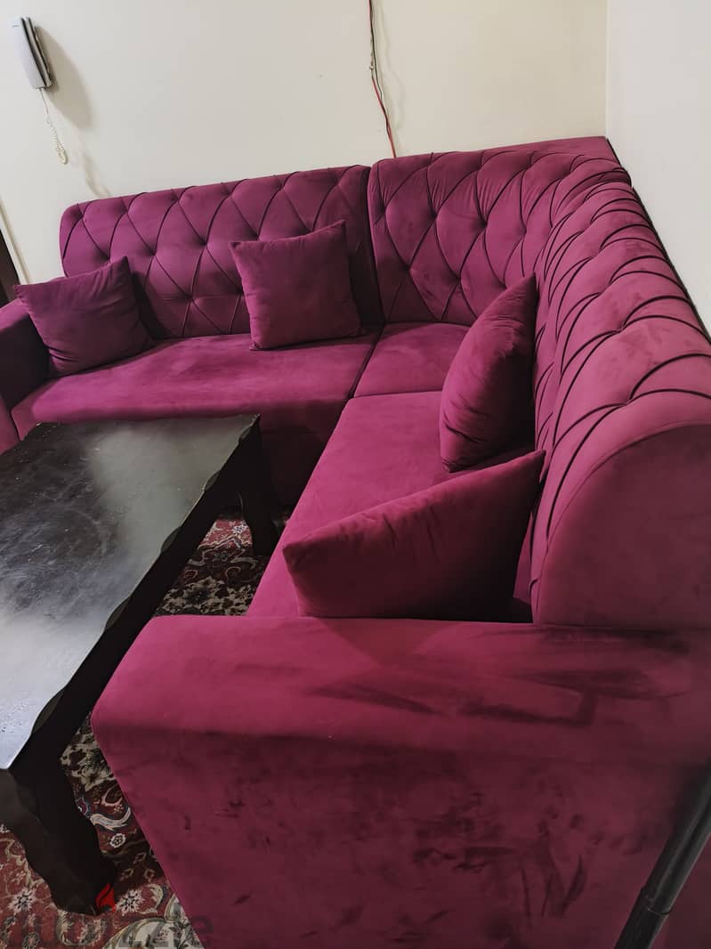 Sofa for sale with rug 3