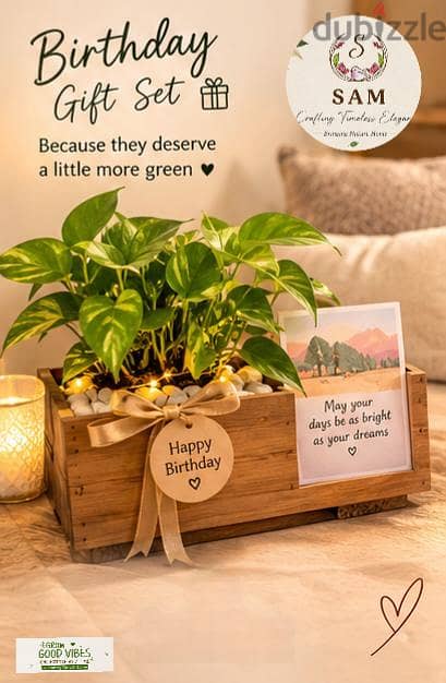 wooden pots with gift packing 3