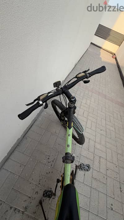 SPORT INC. BICYCLE GREEN