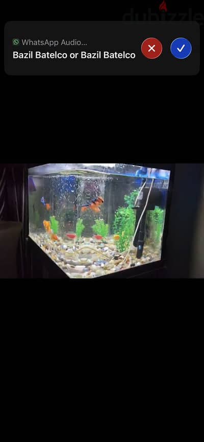 Aquarium with cupboard stand