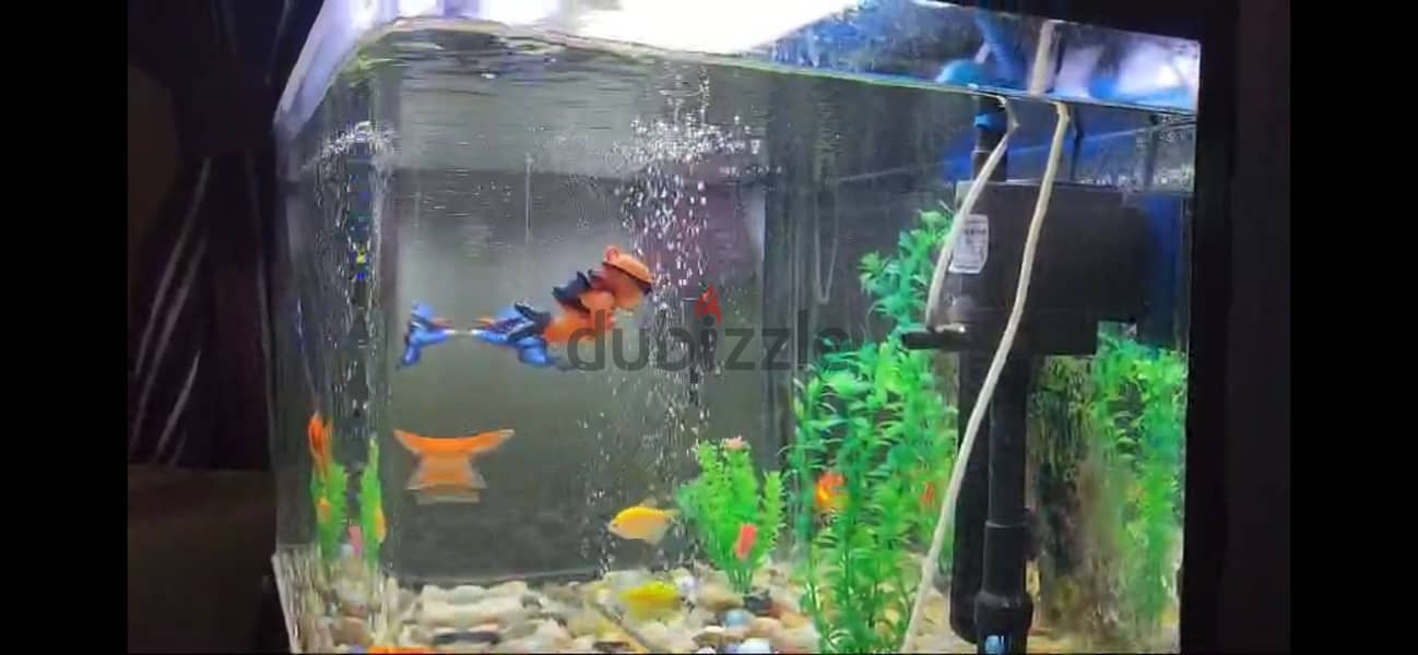 Aquarium with cupboard stand 1