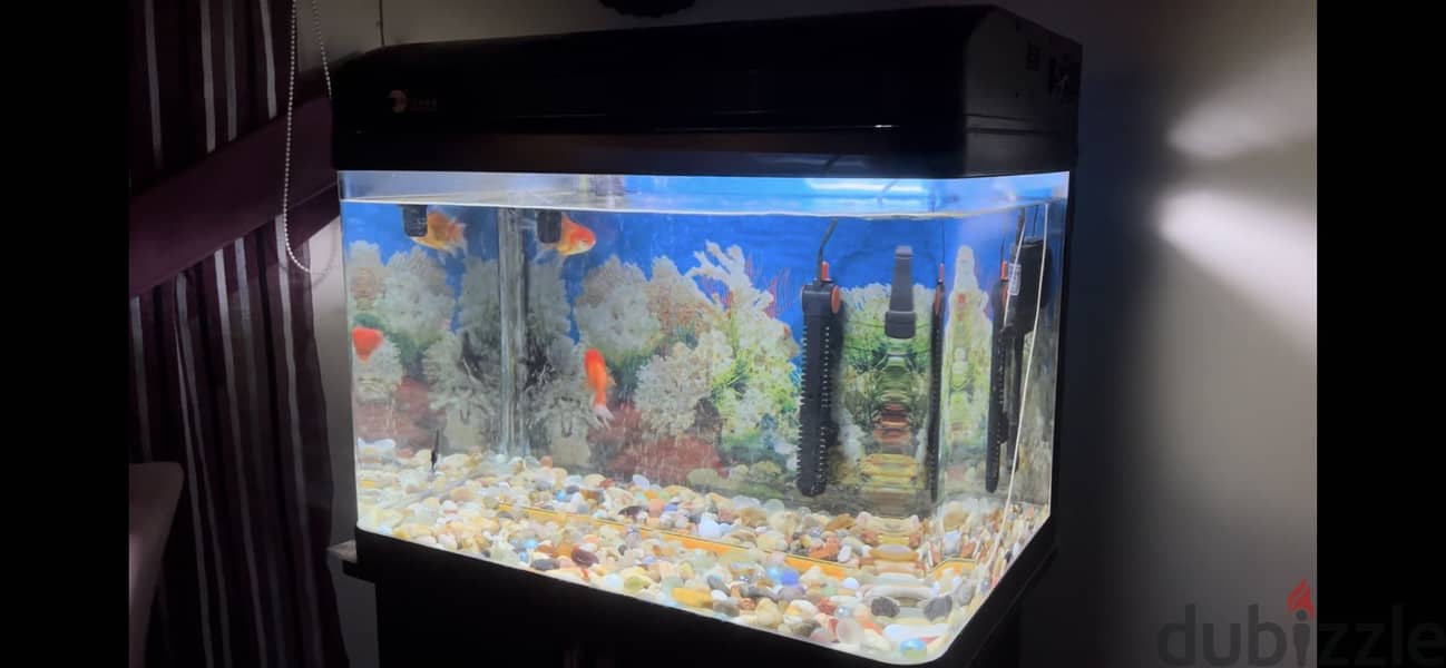 Aquarium with cupboard stand 3