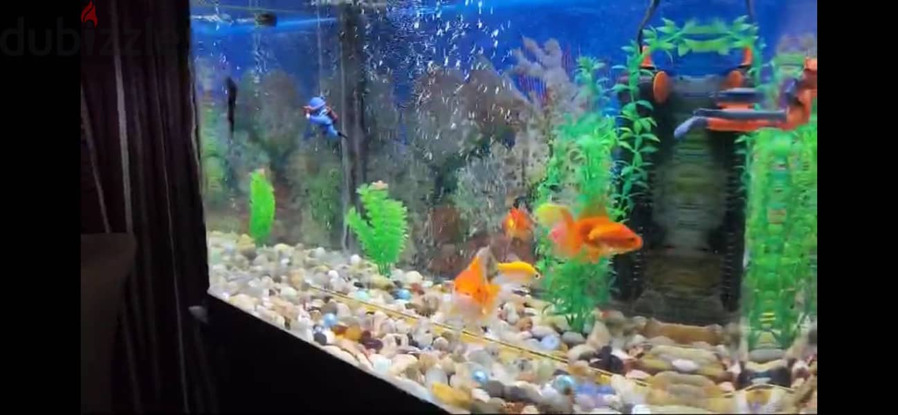 Aquarium with cupboard stand 4
