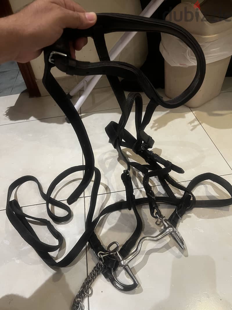 Horse leather saddle full set 5