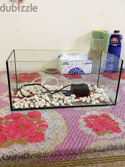 Clear Aquarium tank BD9