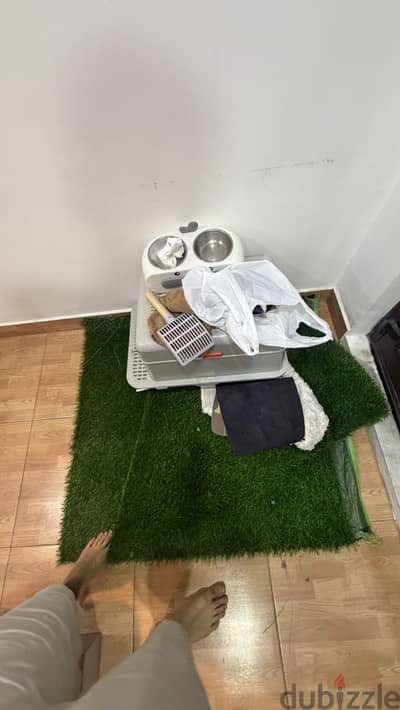 Cat litter box