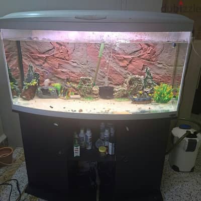 big tank