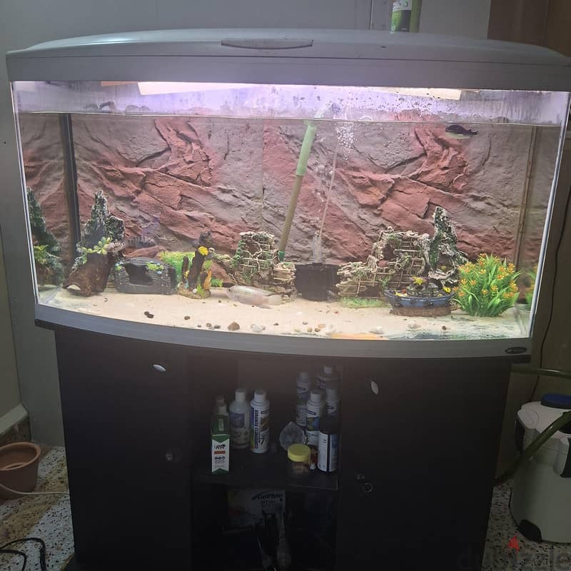 big tank 1