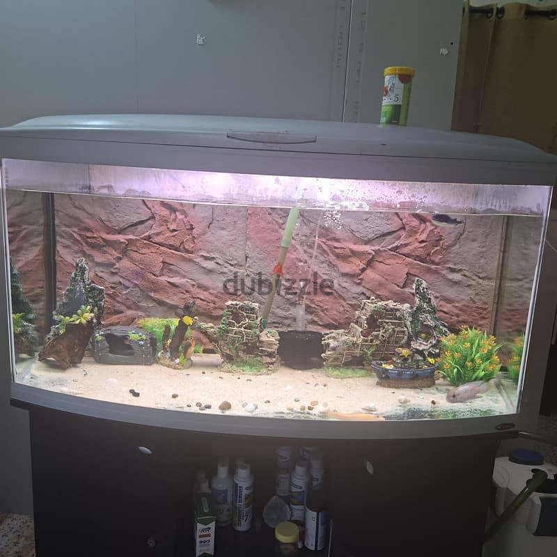 big tank 2